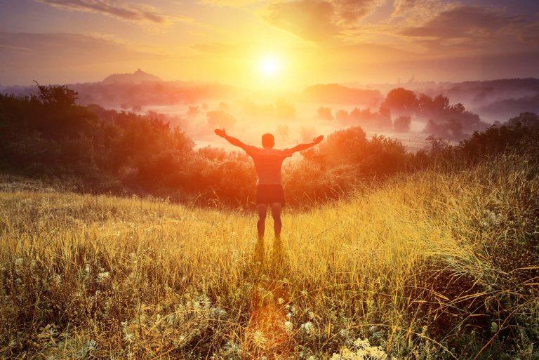 SoulCompanions Soul2 768x513